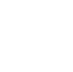 shauntelauren logo